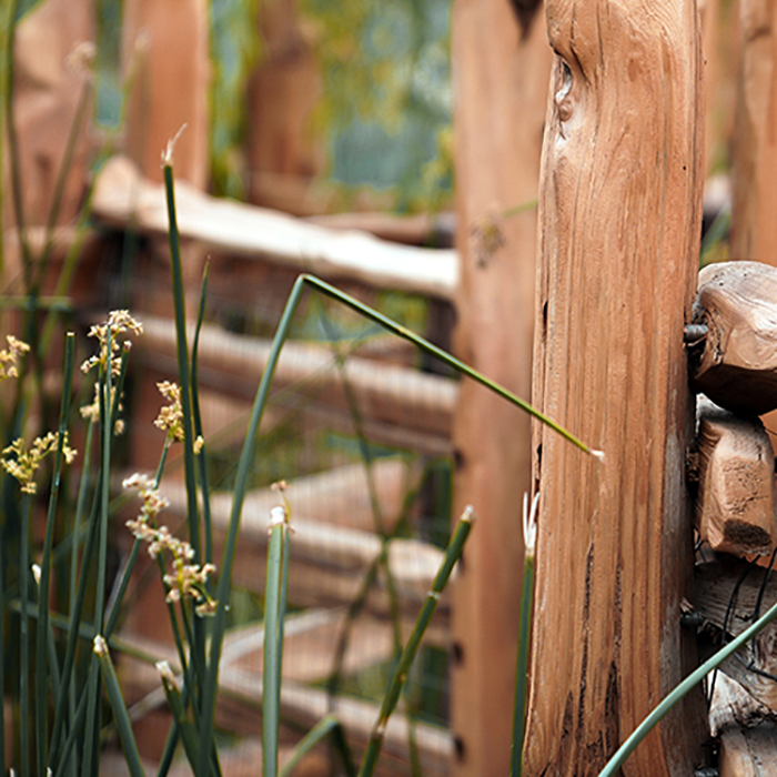 Disneyland Adventure land fence by river. Photoshop fix